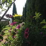 Bed & Breakfast Tentempe Peregrino